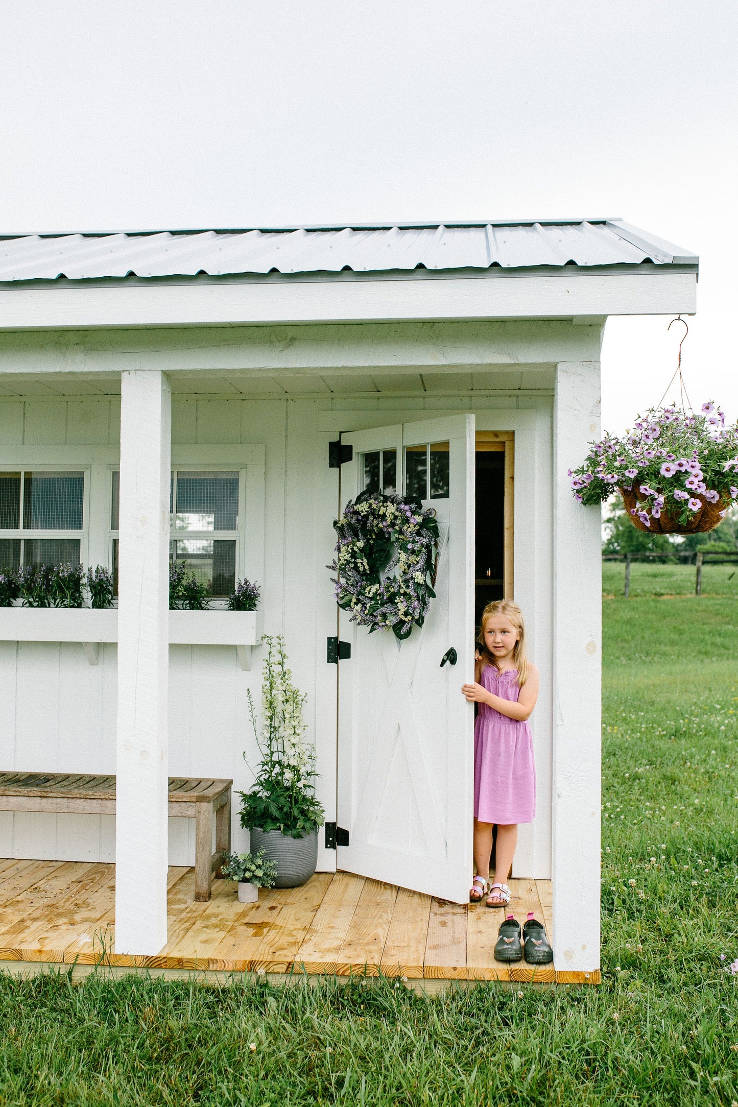 The Shed-elier