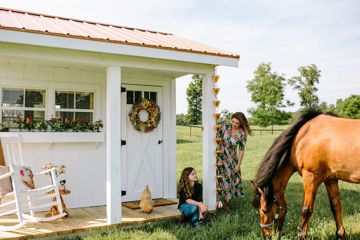 The Shed-elier