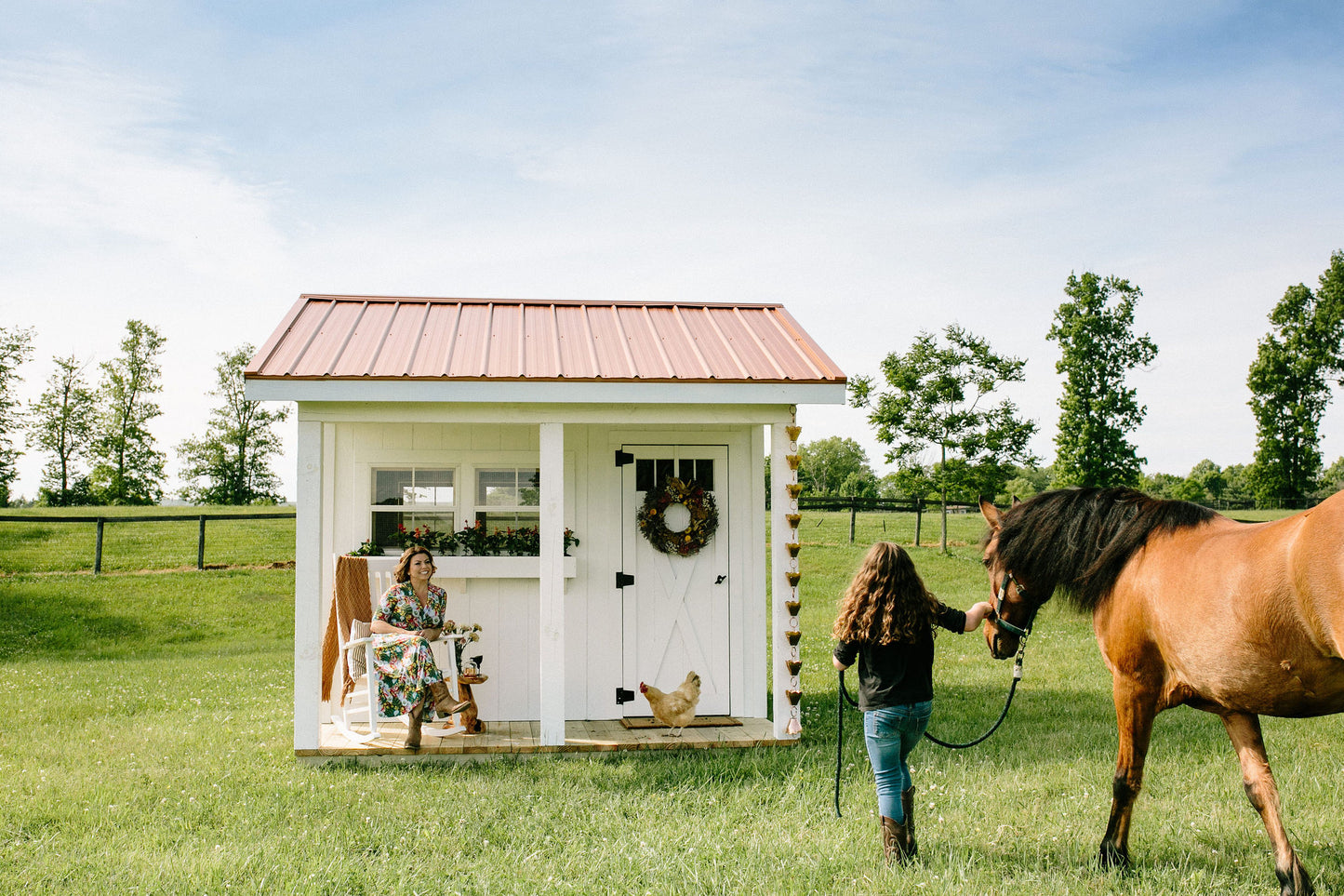 The Shed-elier