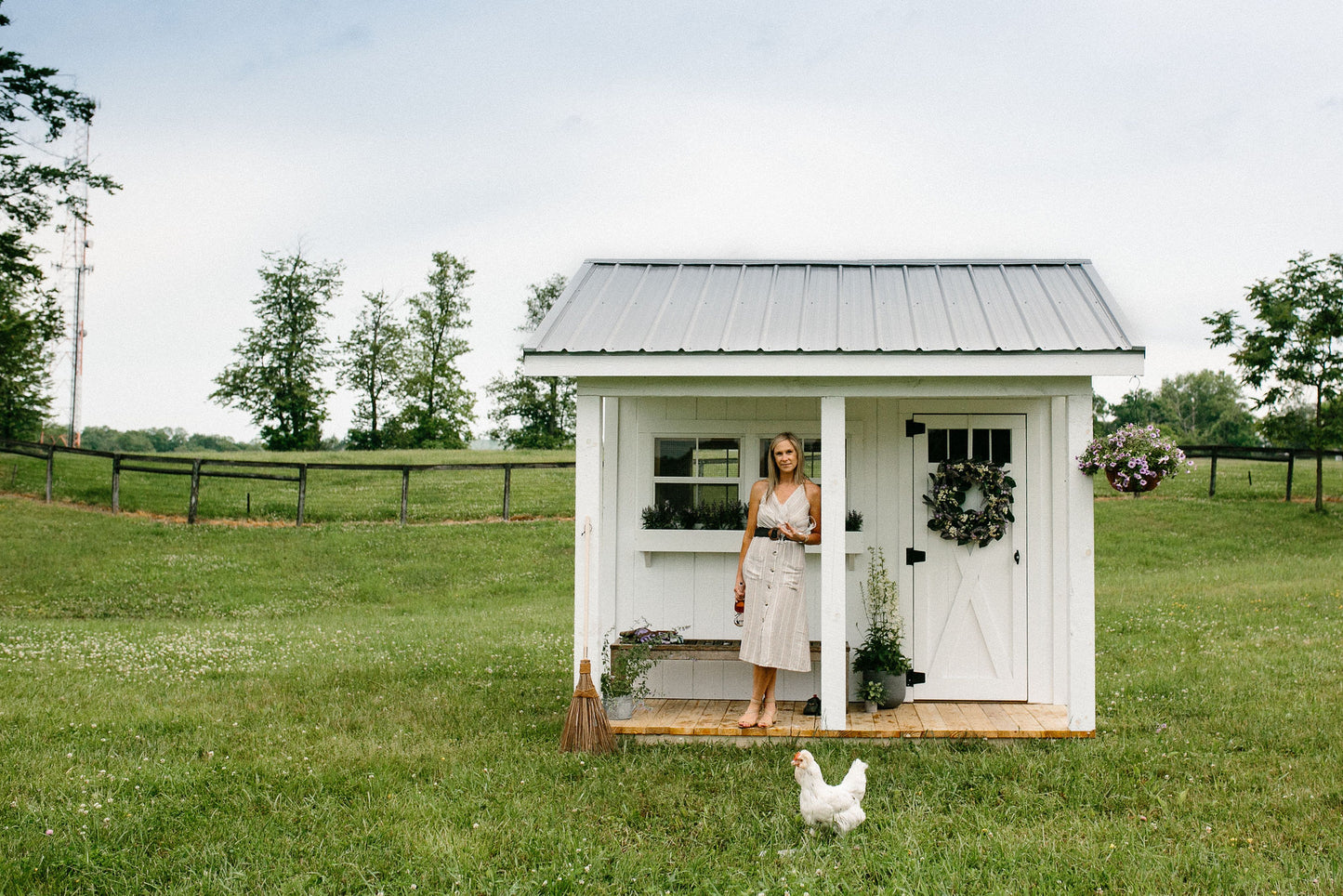 The Shed-elier