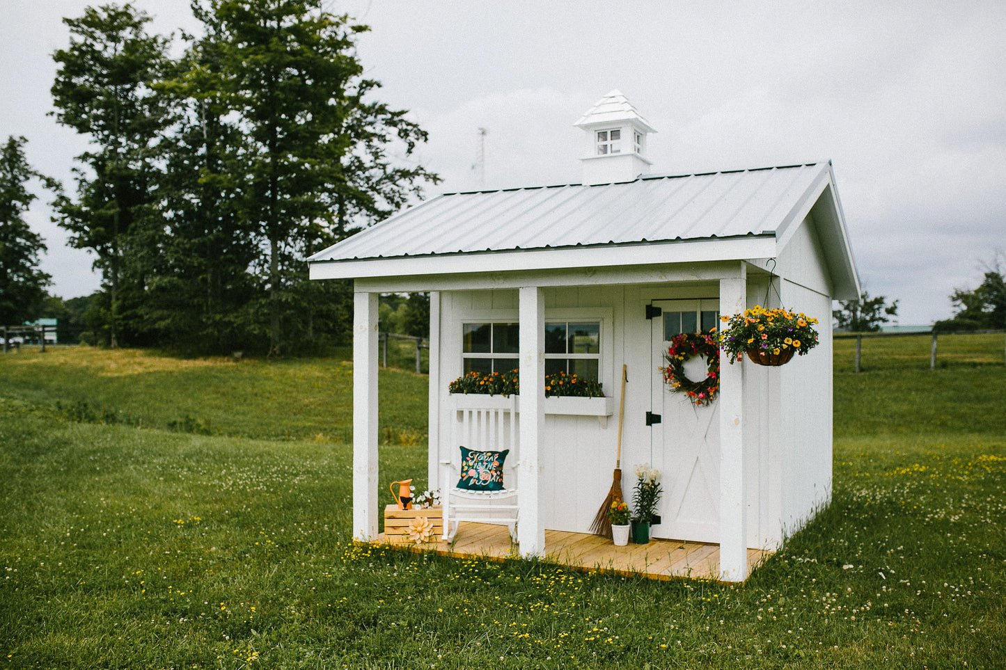 The Shed-elier