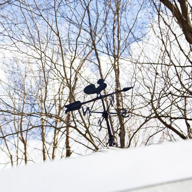 Black Rooster Weathervane
