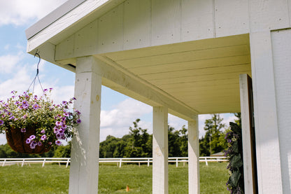 The Shed-elier